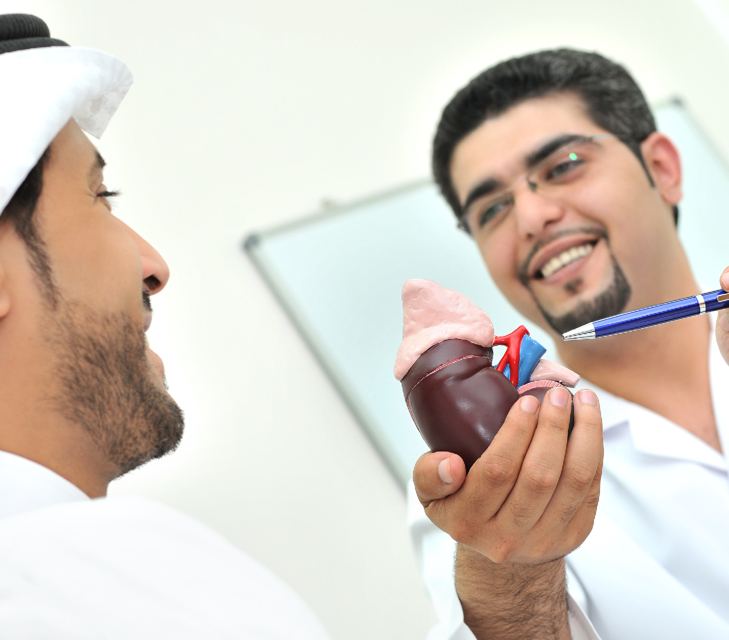 طب أمراض الكلى