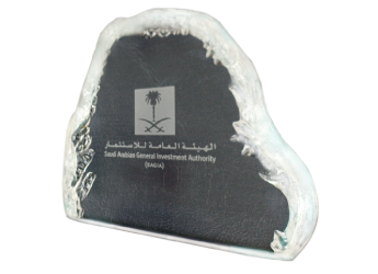Saudi Arabian General Investment Authority Award