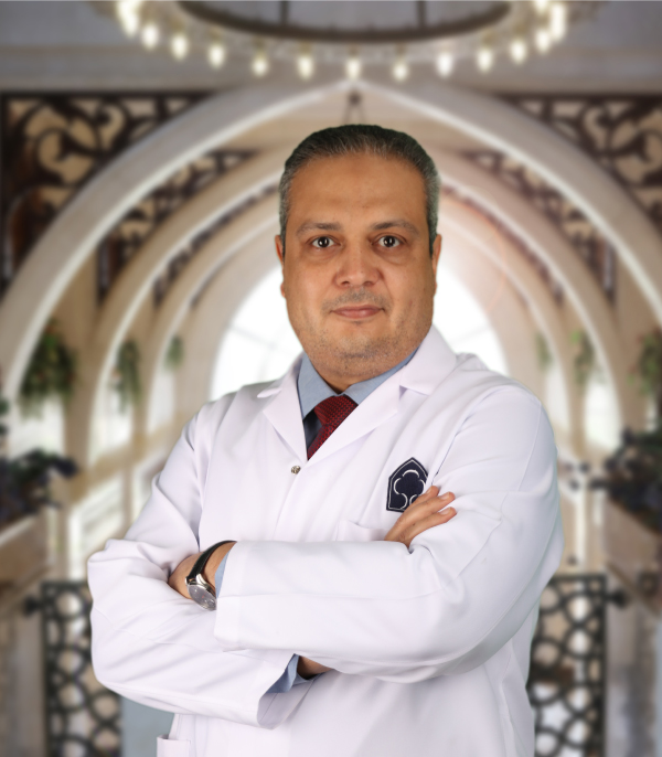 Dr. Ahmed T. Harby